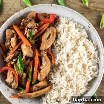 A bowl of rice and chicken stir fry. Easy dinner recipe for family