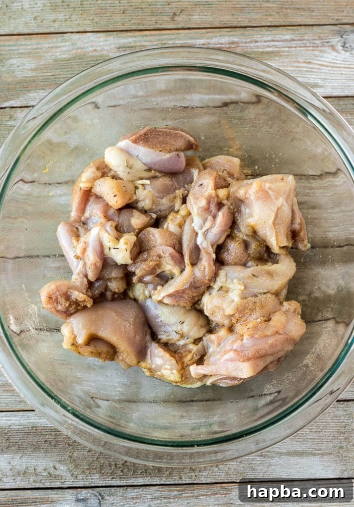 Grilled Chicken Skewers 4 Raw chicken chunks coated in a rich spice rub in a mixing bowl, ready for skewering