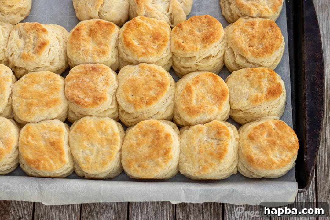 Perfectly Flaky Homemade Buttermilk Biscuits 12 Landscape picture of buttermilk biscuits