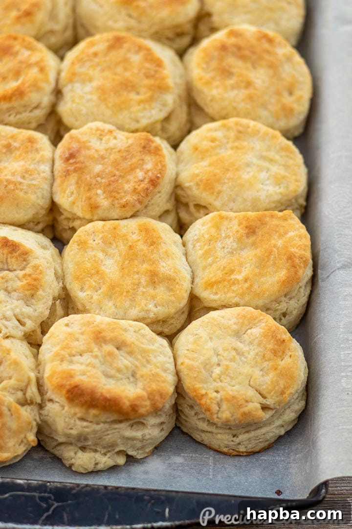Perfectly Flaky Homemade Buttermilk Biscuits 3 Baked buttermilk biscuits on parchment paper.