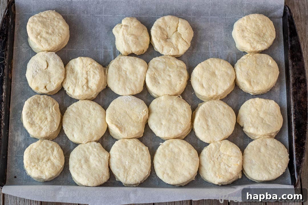 Perfectly Flaky Homemade Buttermilk Biscuits 9 Cut out biscuits on baking sheet
