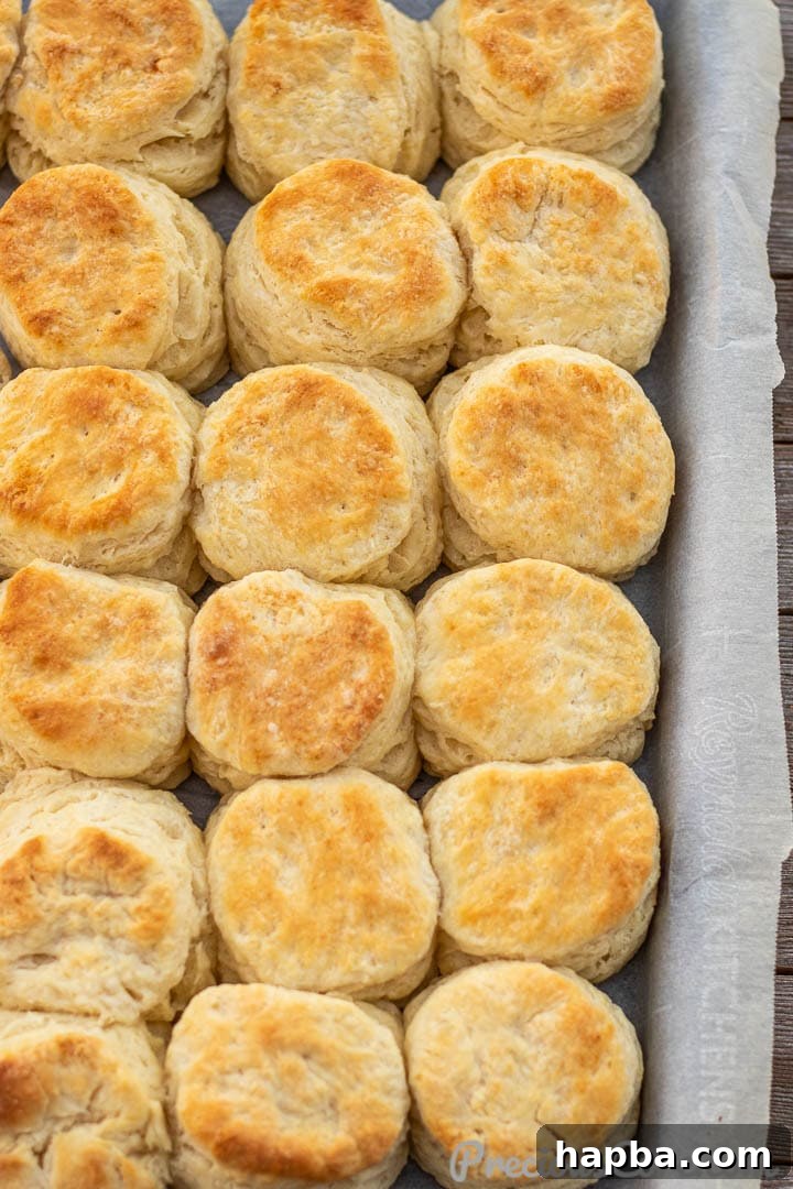 Perfectly Flaky Homemade Buttermilk Biscuits 10 Baked biscuits on sheet