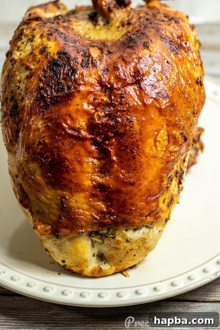 Turkey breast resting on plate