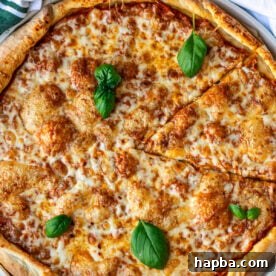 A cheese pizza on a round pizza tray, garnished with basil leaves.
