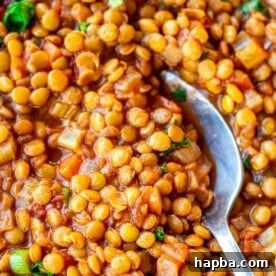 Spoon digging into a bowl of Lentil Stew.