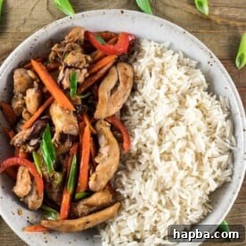 A bowl of rice and chicken stir fry. Easy dinner recipe for family