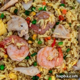 Shrimp and chicken fried rice in a white dish.