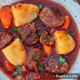 Square picture for beef stew without wine.