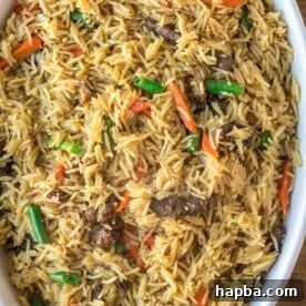 Beef Fried Rice in oval serving bowl