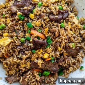bowl of steak fried rice